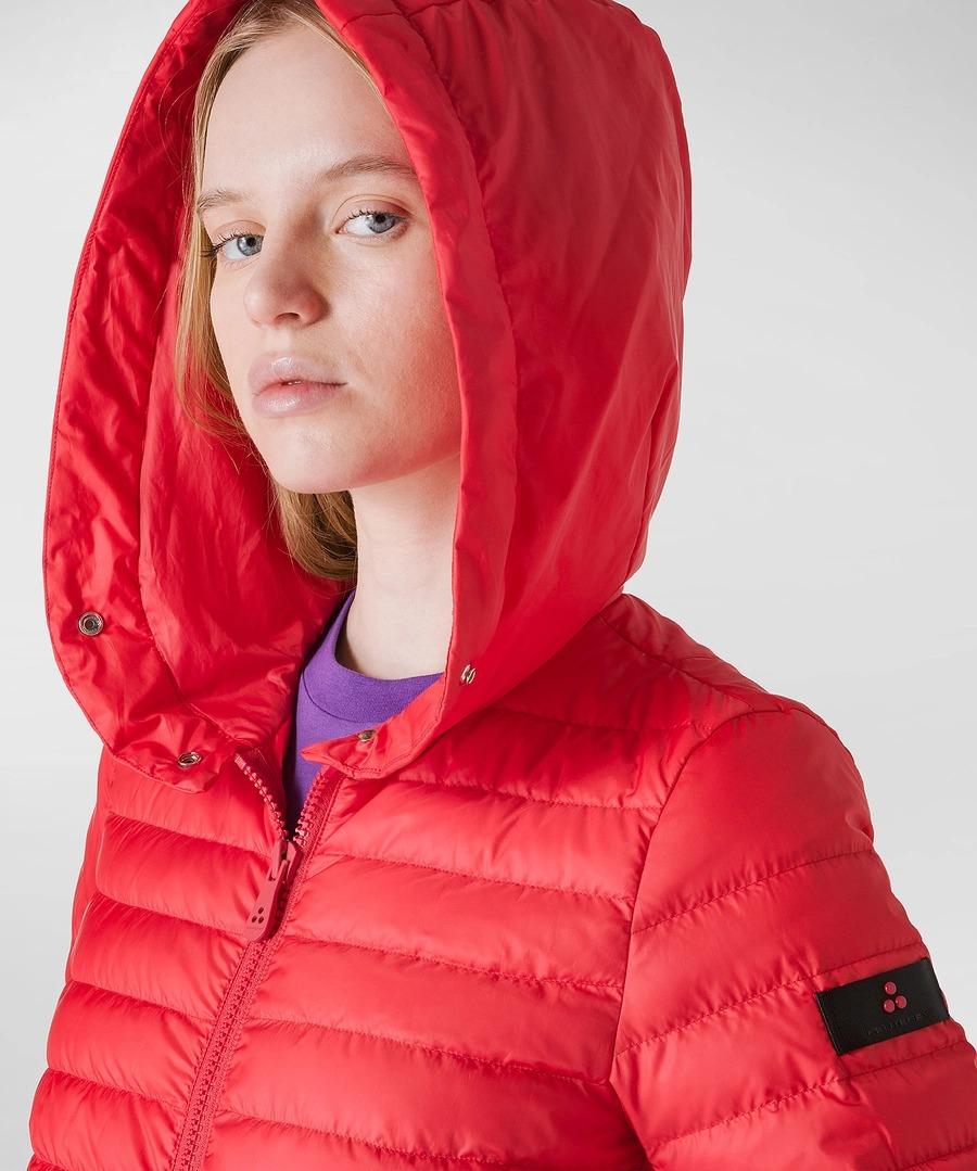 CALVUS MQE 02 PED4634 01181785/0049 PEUTEREY