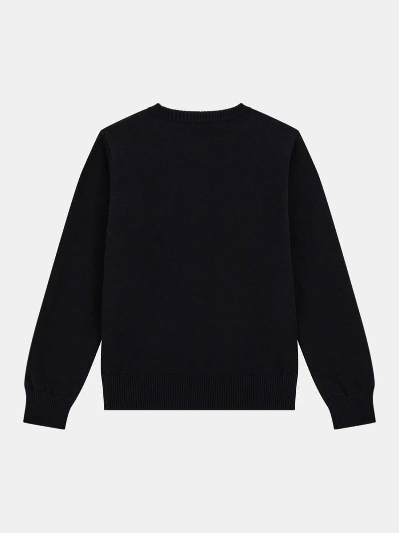 L5YR01Z0140/JBLK GUESS