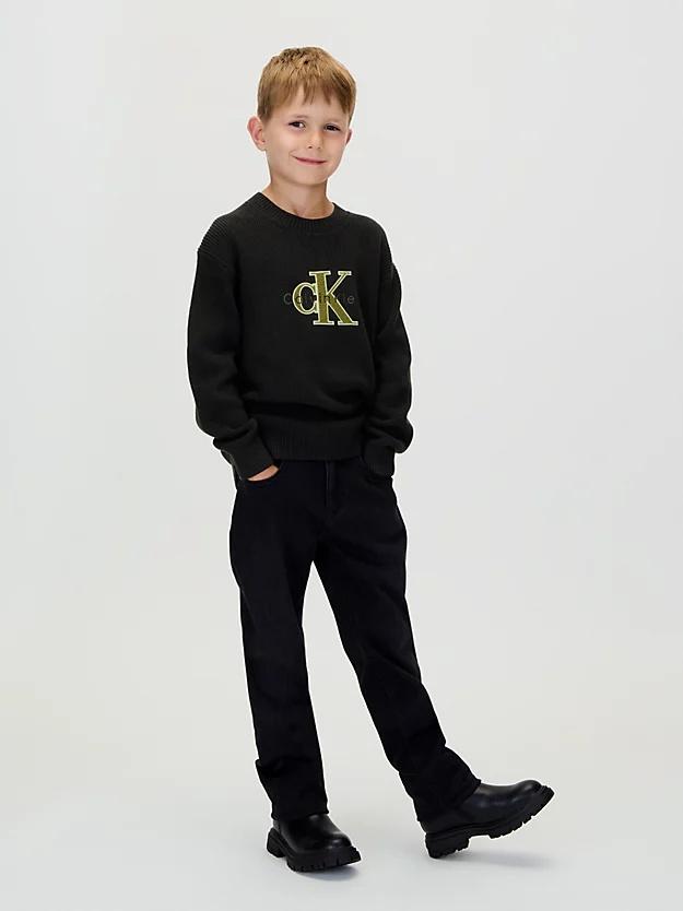 IB0IB02598J/BEH CALVIN KLEIN JEANS