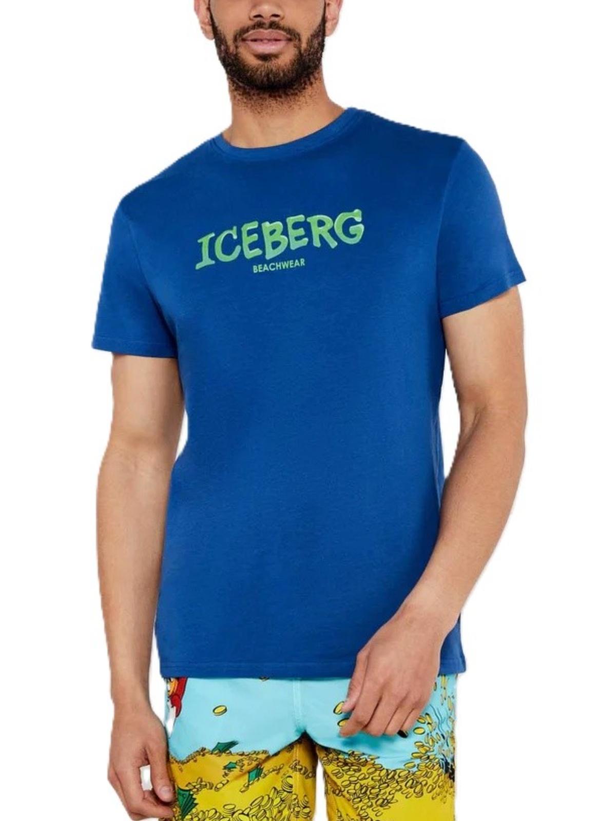 ICE25MTS01/BLUE ICEBERG