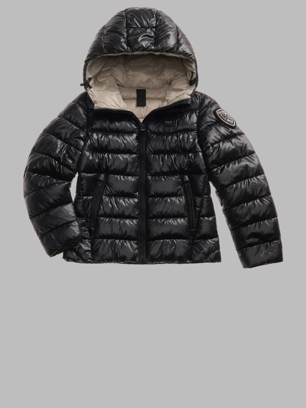25WBLGC02391 006648/999EI BLAUER