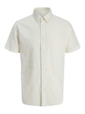JJEBREEZE LINEN BLEND SHIRT S/S SN 