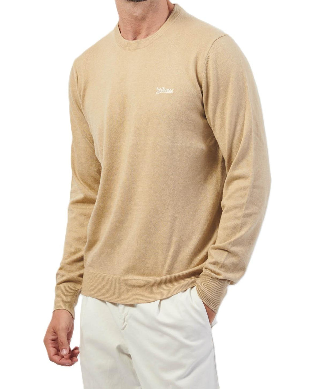 DANIEL CN LS BASIC SWTR M4YR01Z3052/G036 GUESS