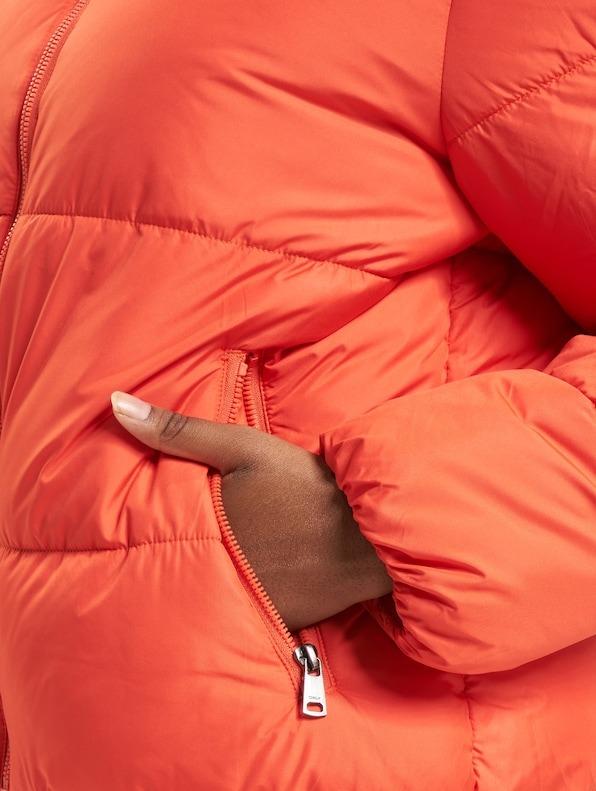 15323230/Fiesta ONLY