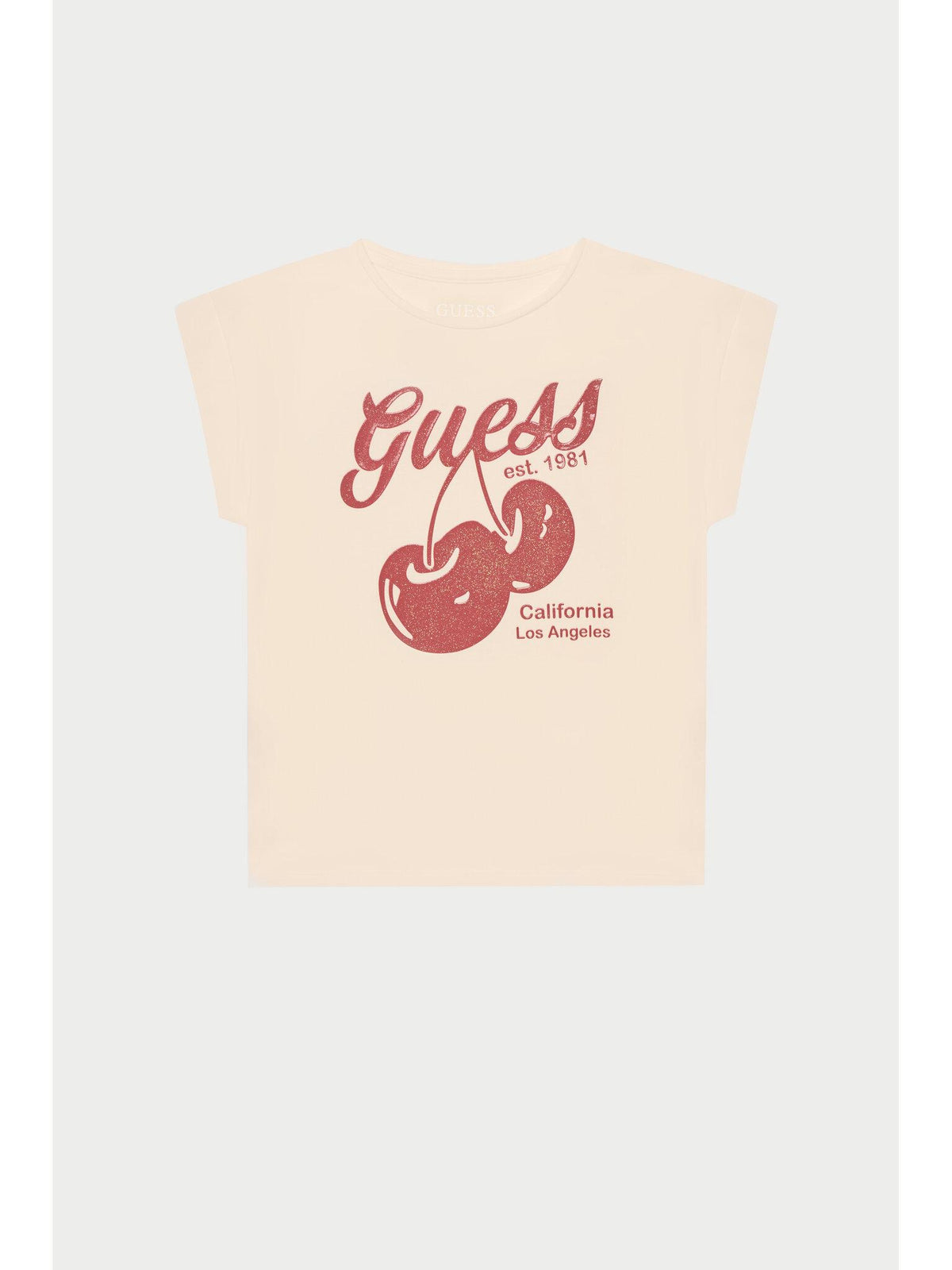 J5GI00K6YW4/G63Q GUESS
