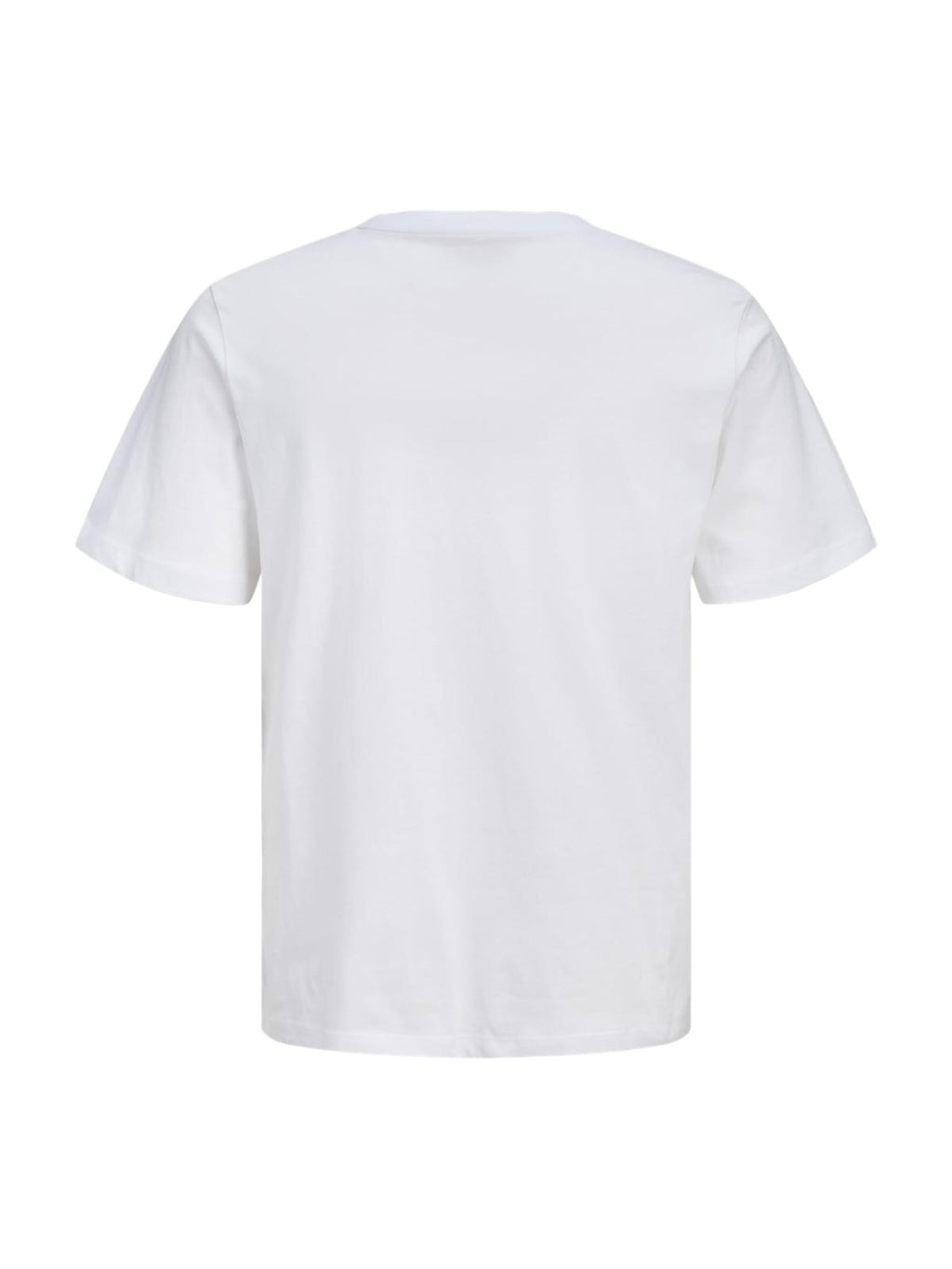 JJFUNNY FRUIT TEE SS CREW NECK 