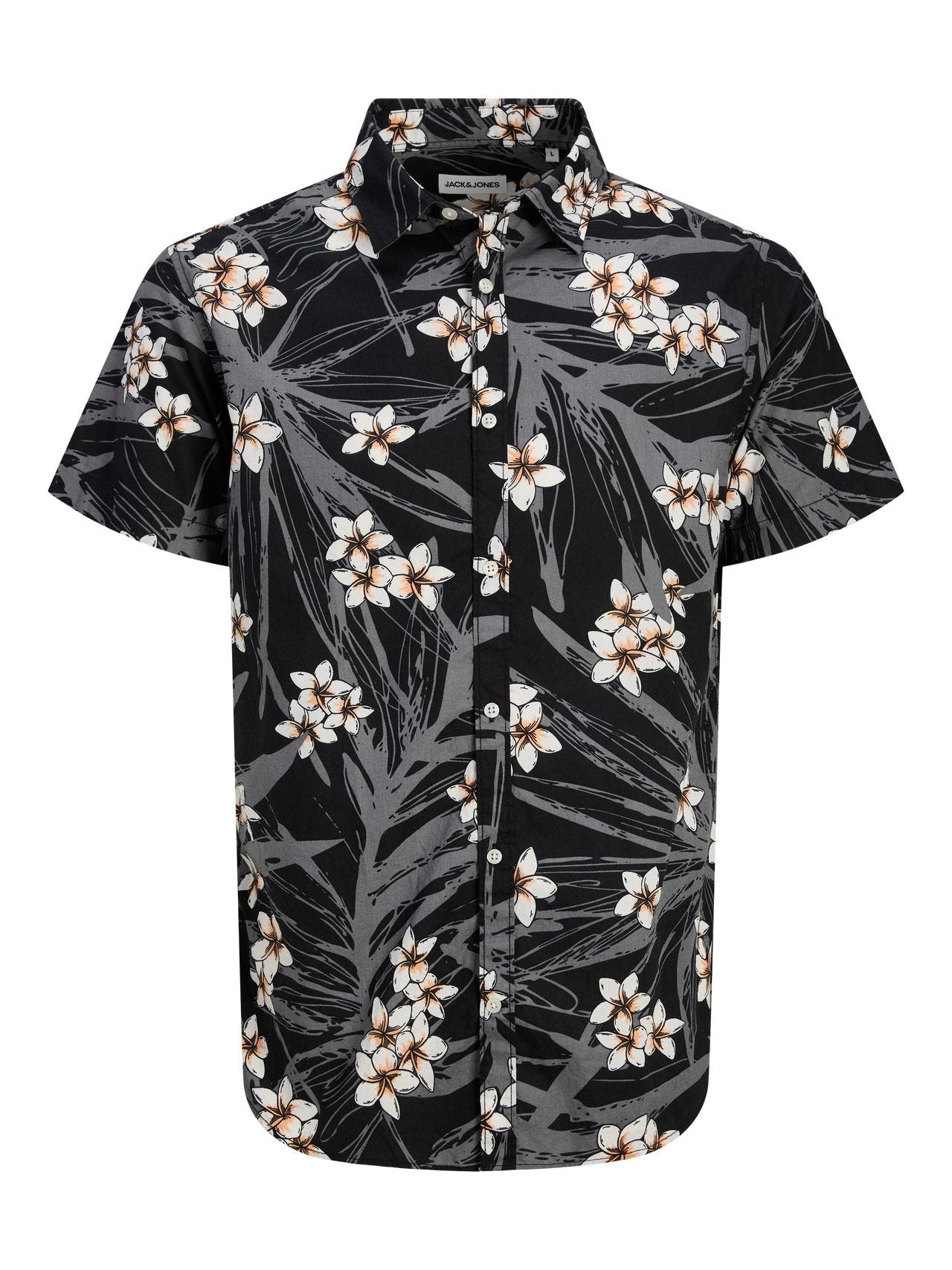 12269137/Black JACK AND JONES