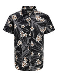 12269137/Black JACK AND JONES