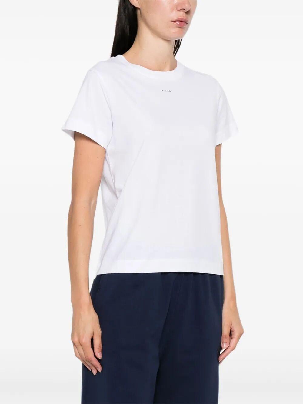 100373 A2RE/Z04 PINKO