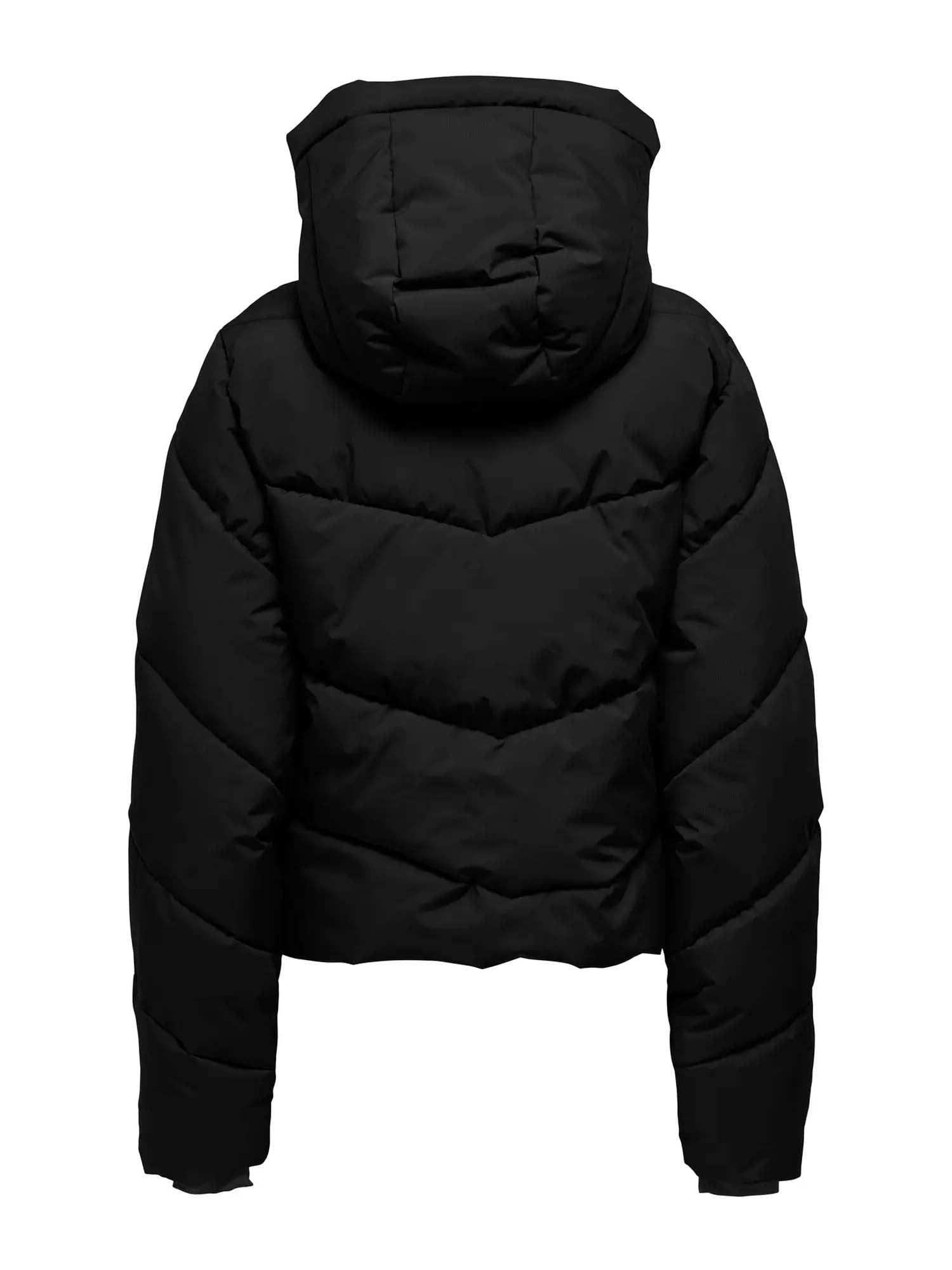15352037/Black ONLY