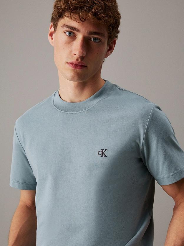 HEAVY REGULAR TEE J30J326683/PC2 CALVIN KLEIN JEANS