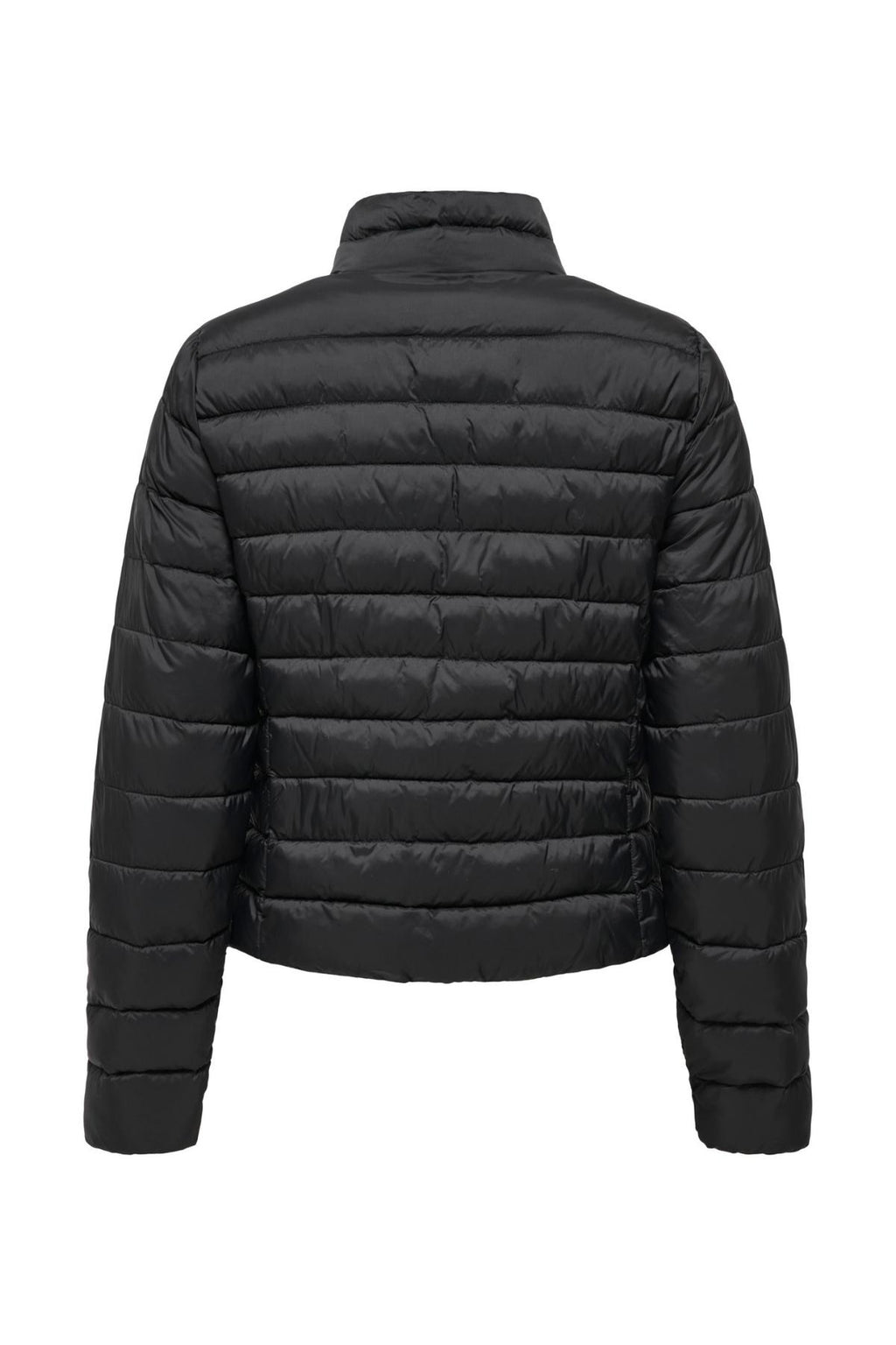 15351967/Black ONLY
