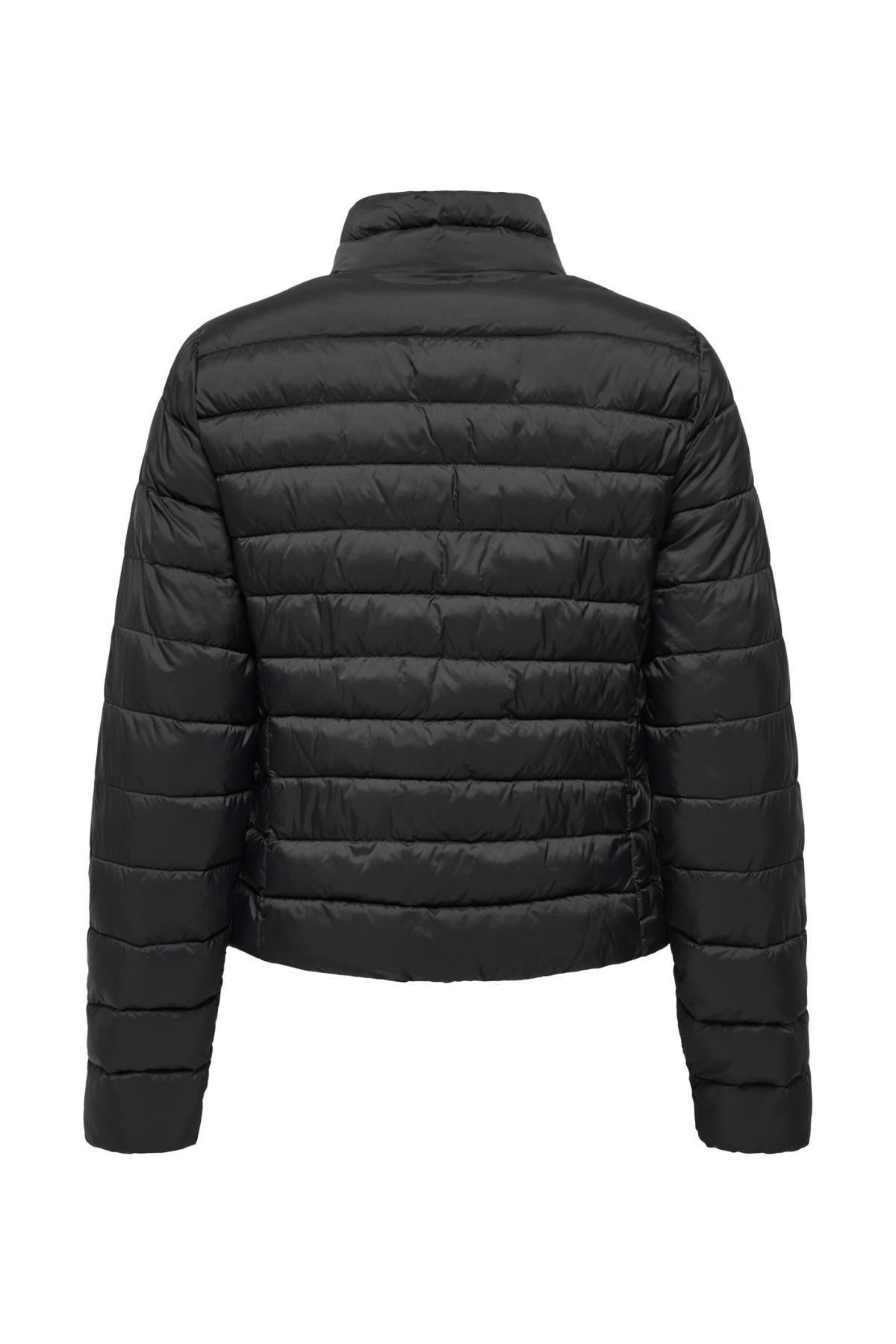 15351967/Black ONLY