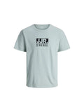 12290620/Aqua Gray JJ REBEL