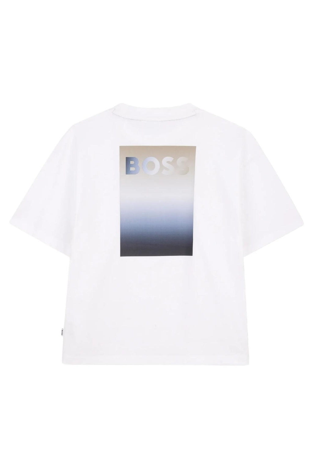 J52987/10P BOSS