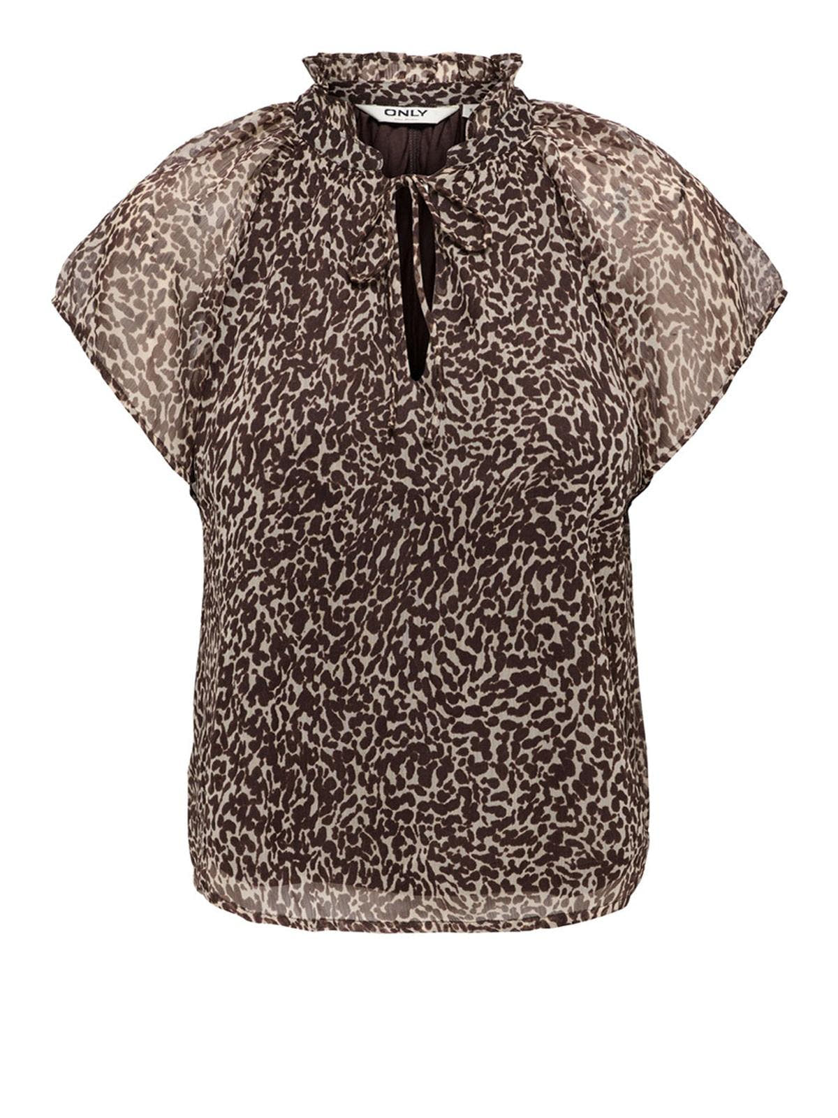 15372602/Chocolate Martini LEO COW ONLY