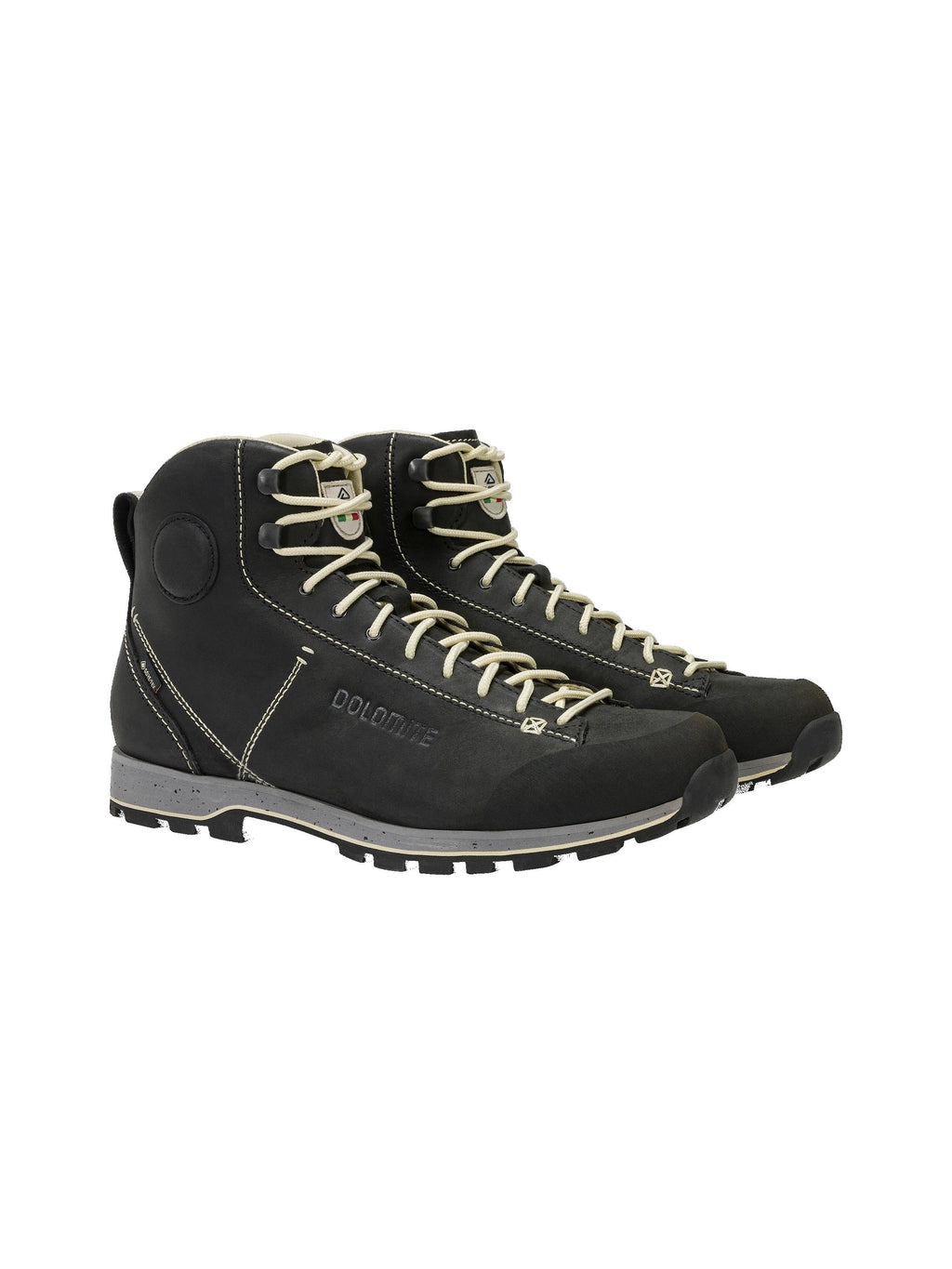Shoe 54 High Fg Evo GTX 