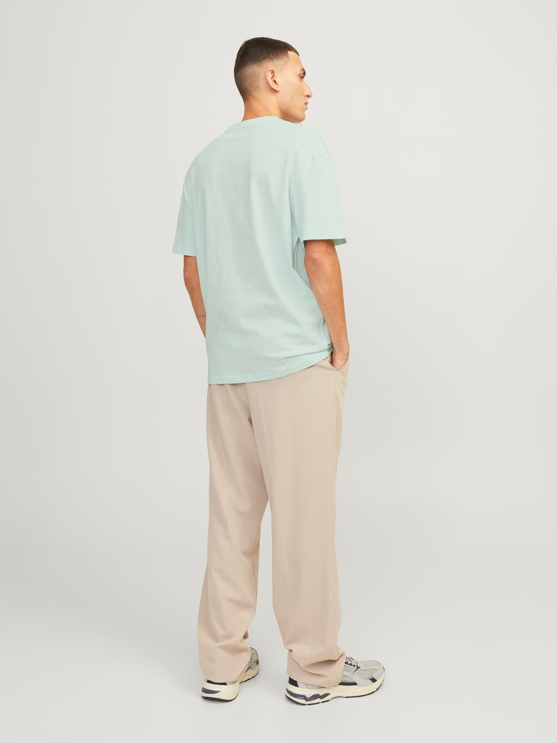 12250436/Skylight JACK AND JONES