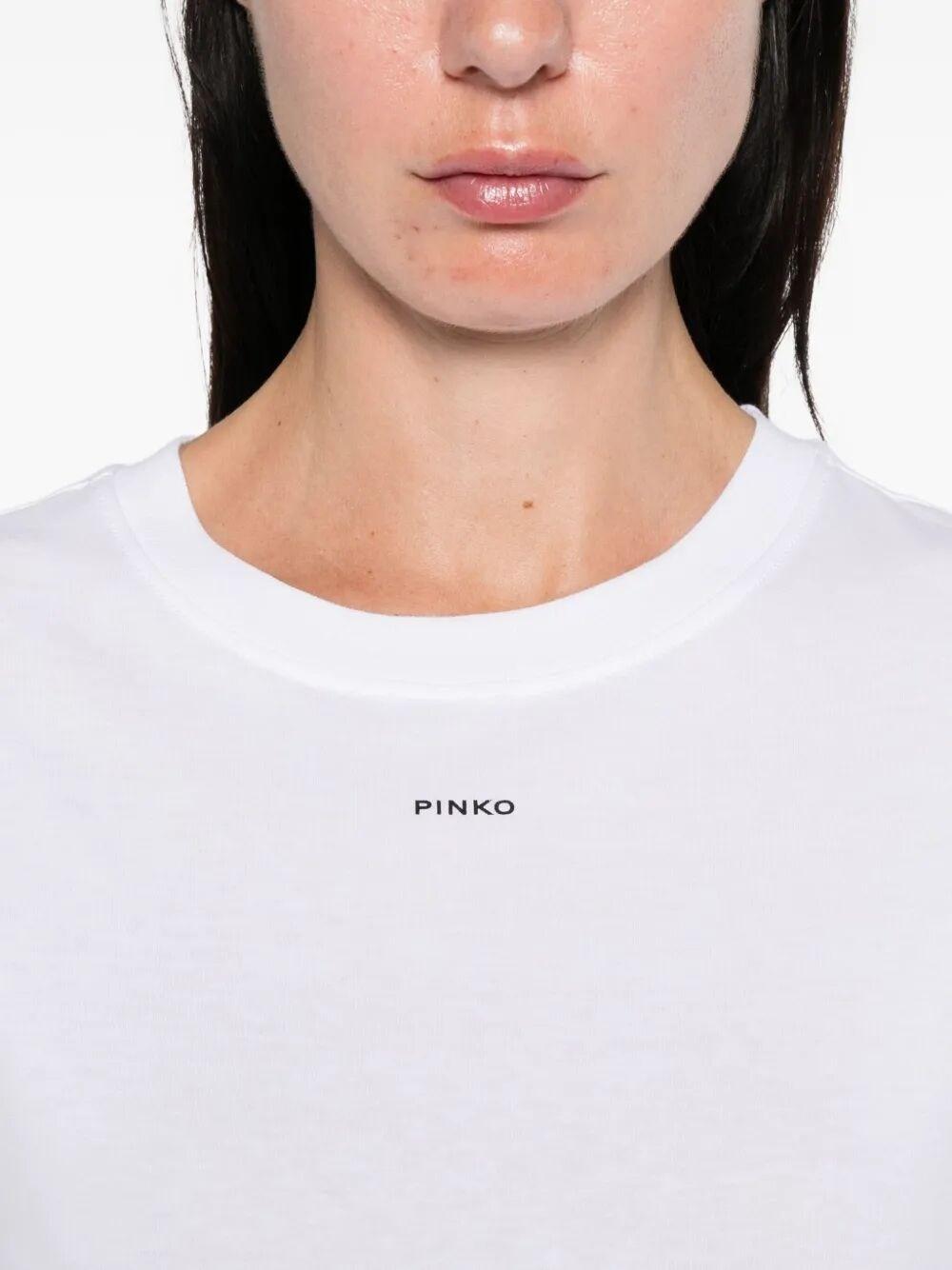 100373 A2RE/Z04 PINKO