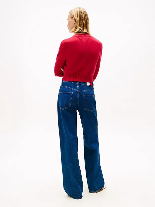 DW0DW21690/XJP TOMMY JEANS