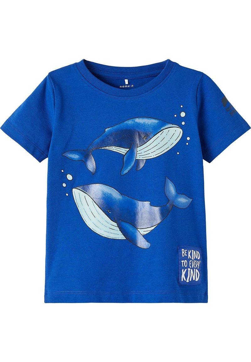 13215598/Surf the Web NAME.IT