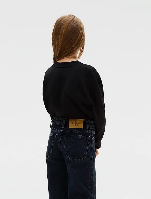 IG0IG02830J/BEH CALVIN KLEIN JEANS