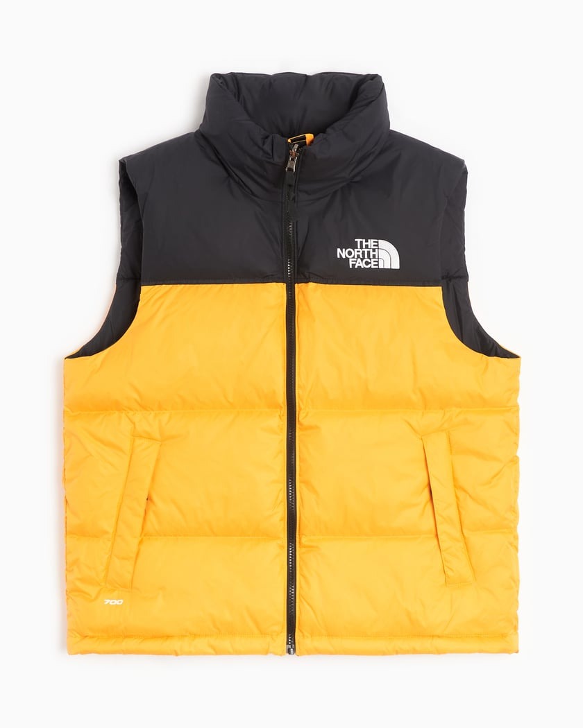 CLOTHING VEST THE NORTH FACE NF0A3JQQ/ZU31