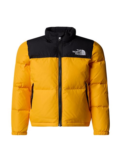 THE NORTH FACE NF0A82TS/56PI