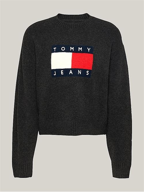 TOMMY JEANS DW0DW18681/HEV