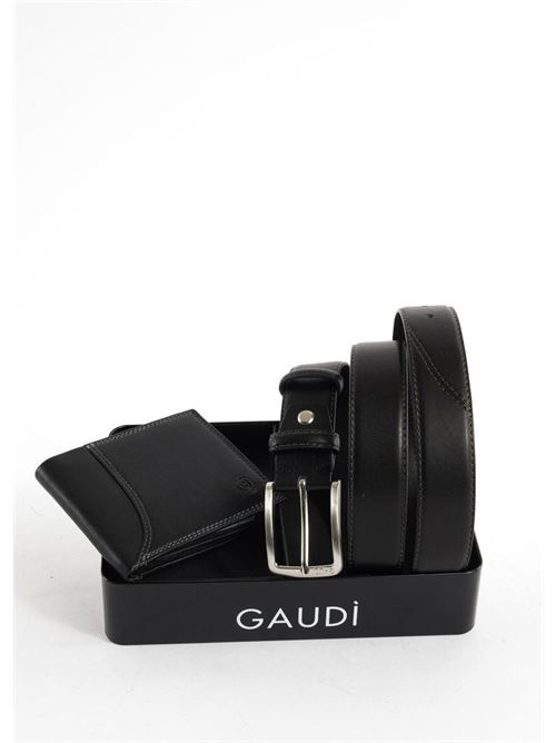 GAUDI V4AE-11390/V0001