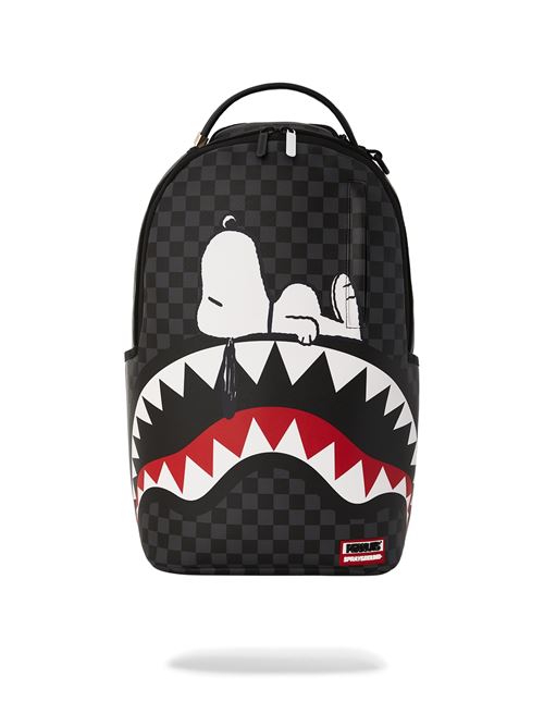 SPRAYGROUND